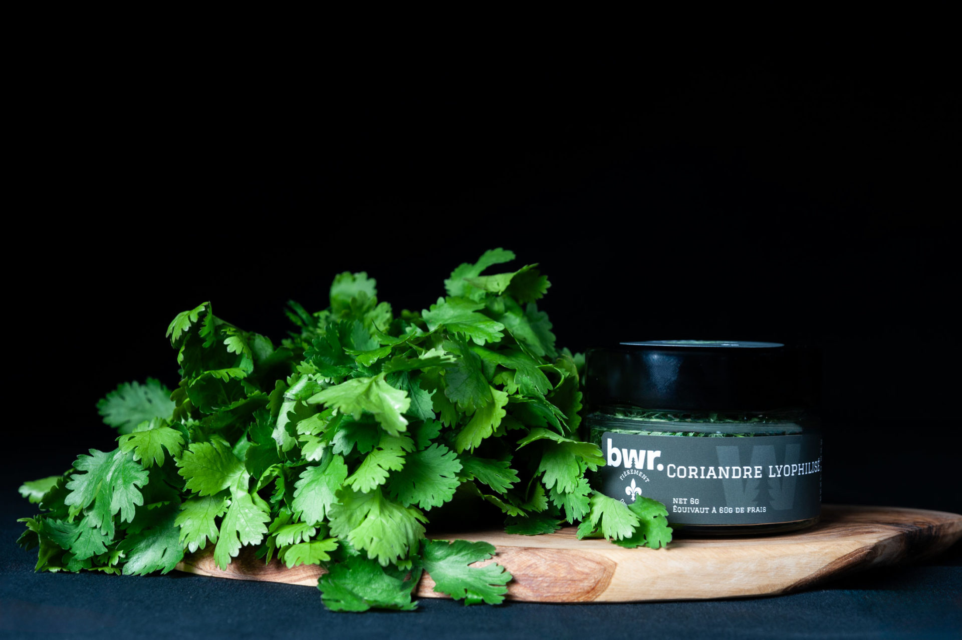 Coriandre lyophilisée